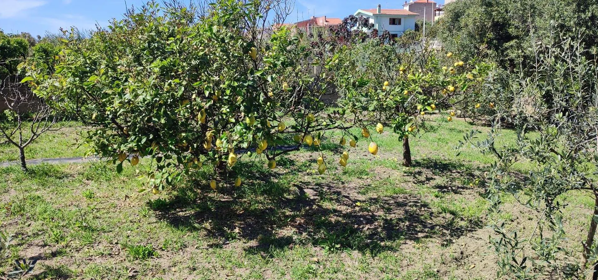Garden Relais Vila Castelsardo Itália